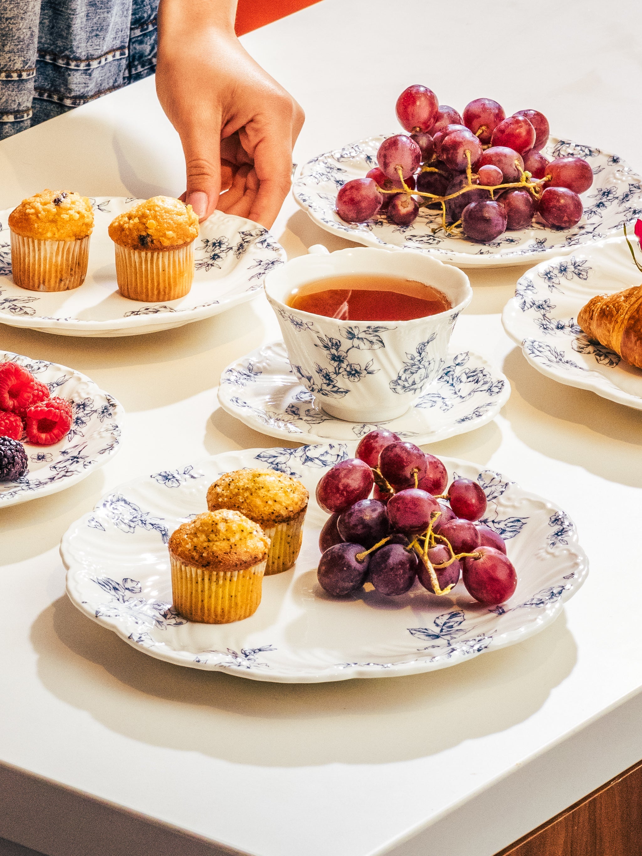 Midnight Rose Dinner Plate Set of 16