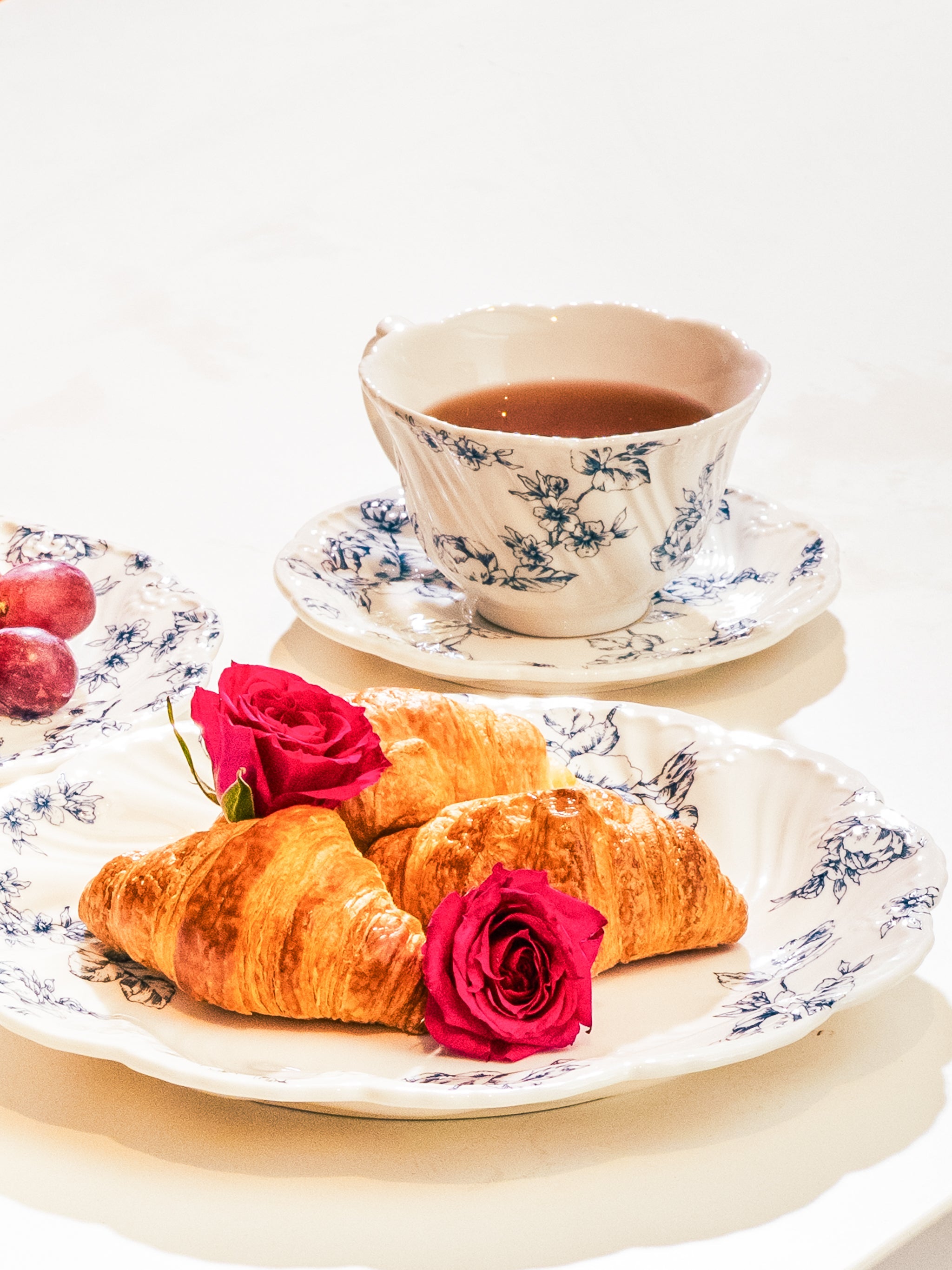 Midnight Rose Dinner Plate Set of 16